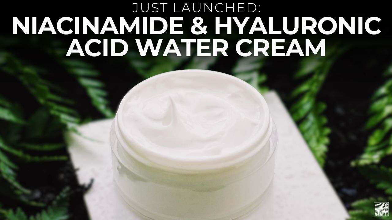 Just Launched: Niacinamide & Hyaluronic Acid Water Cream!