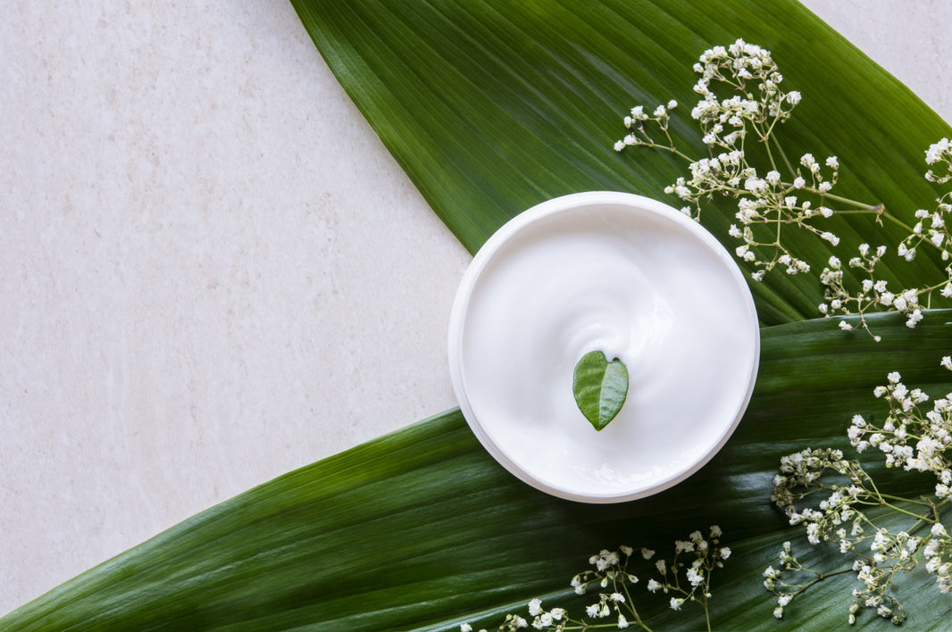 Ceramide cream in white jar with palm leaves in background