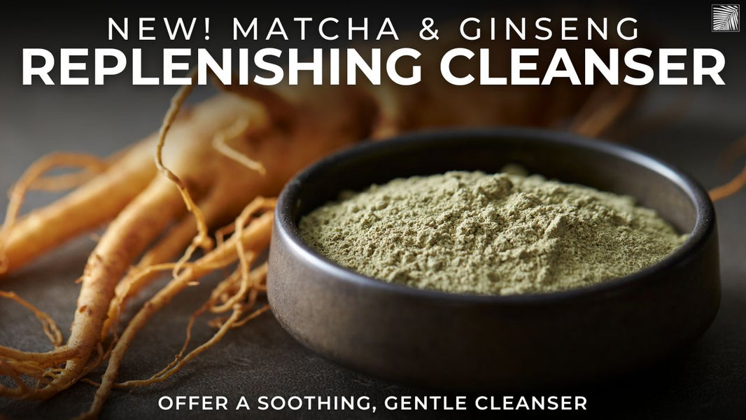 New! Matcha & Ginseng Replenishing Cleanser from Pravada