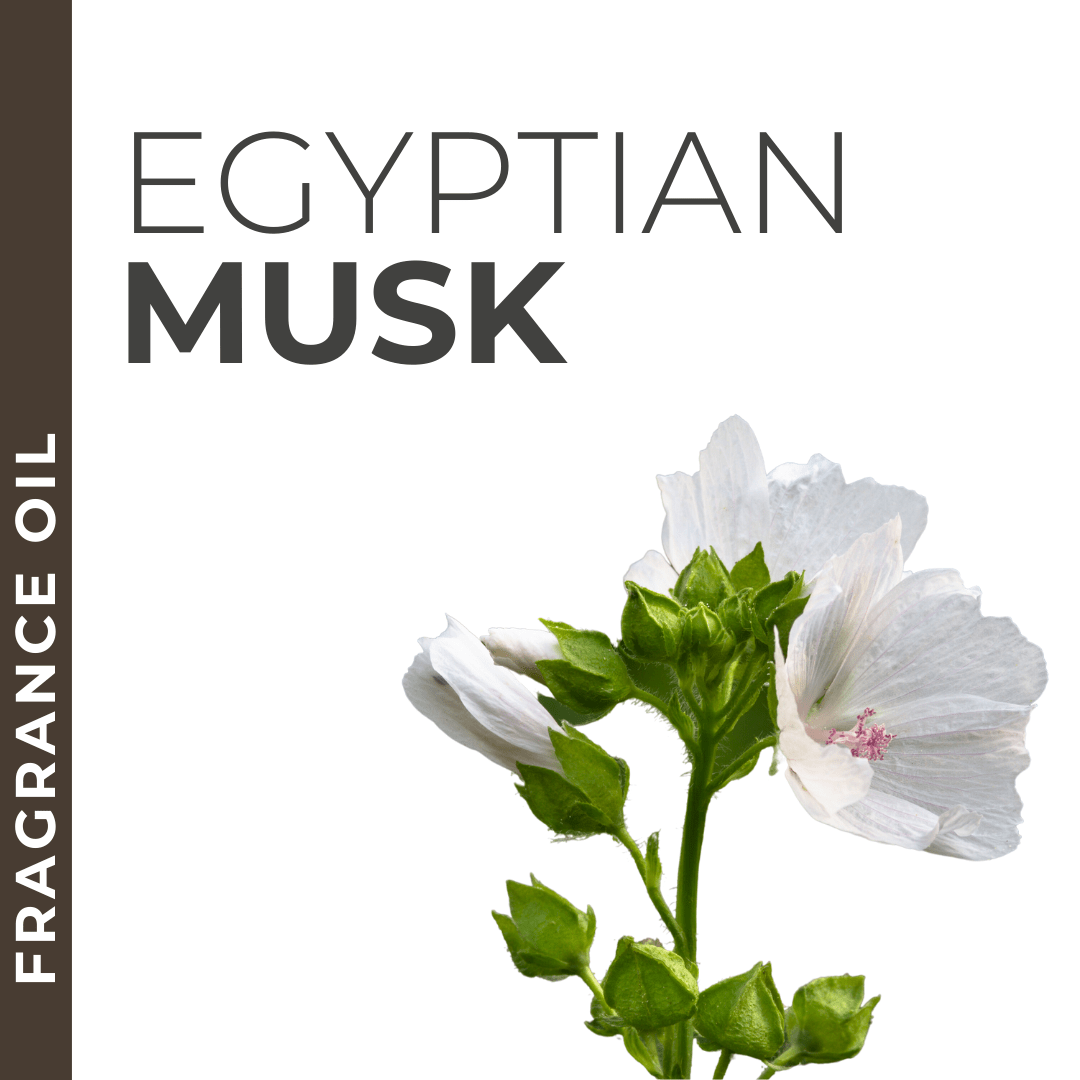 Egyptian Musk fragrance sample, musky and warm aroma for private label skincare and body products