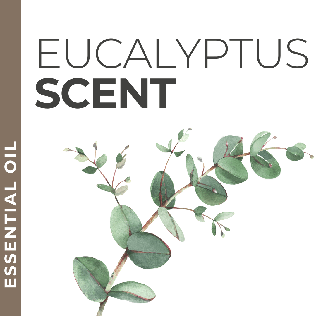 Eucalyptus essential oil sample, fresh and invigorating scent for private label body and skincare lines