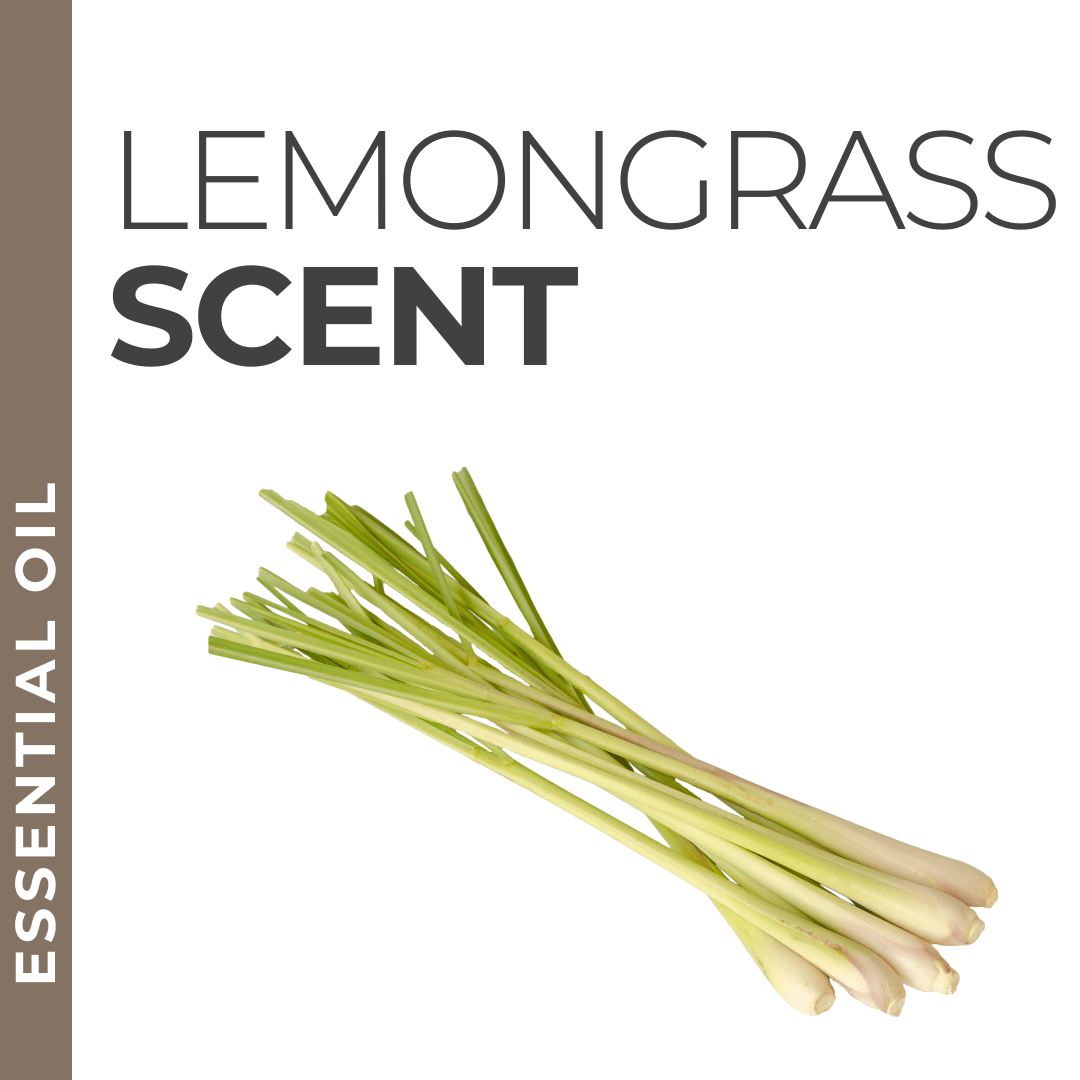 Lemongrass essential oil sample, uplifting and herbal scent for private label skincare and body care