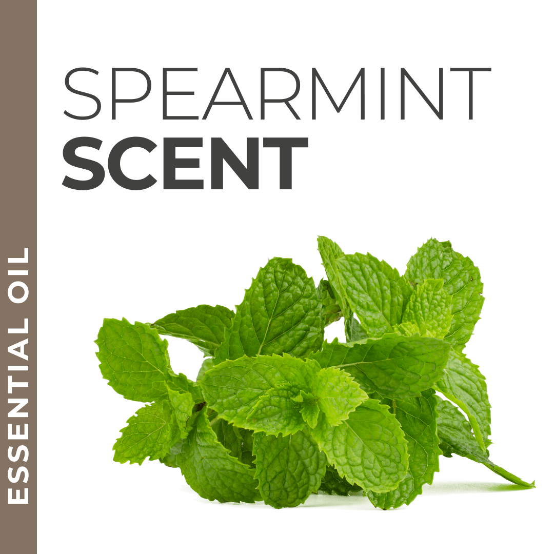 Spearmint essential oil sample, refreshing minty fragrance for private label skincare and body care