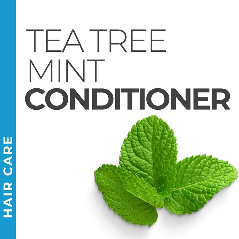 Pravada Private Label Tea Tree Mint Conditioner samples, refreshing conditioner with tea tree and mint for scalp health.