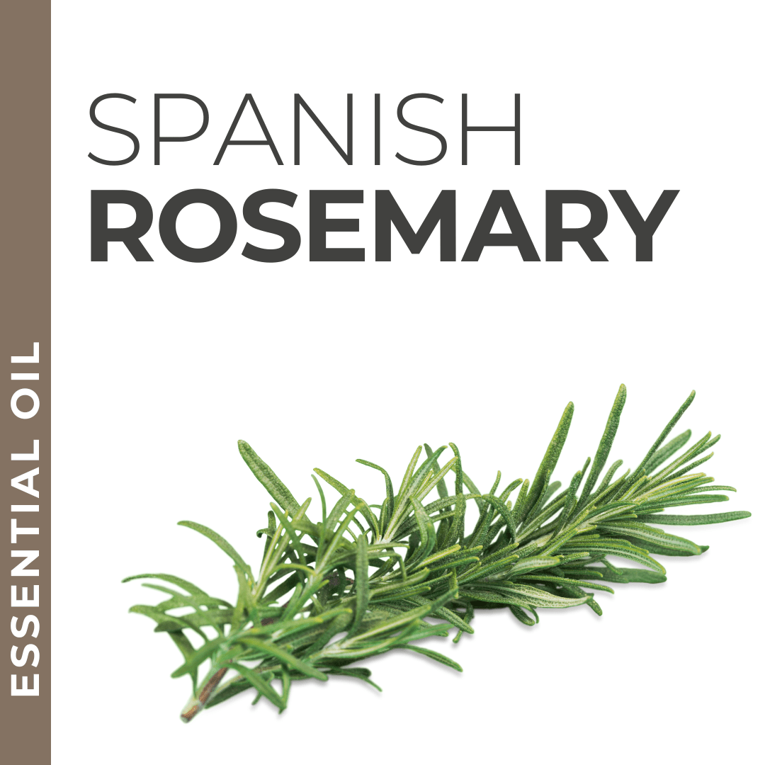 Spanish Rosemary Essential Oil